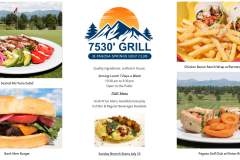 7530-Grill