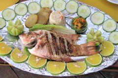 Isla Mujeres Fish